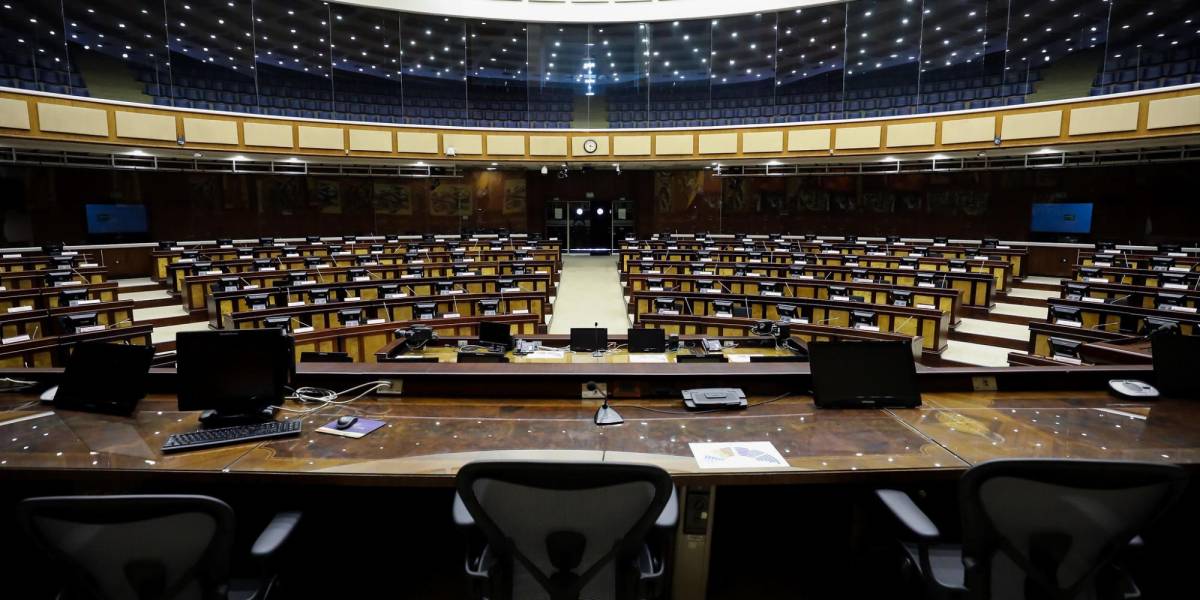 ESTRATEGIAS. El correísmo y ADN adelantan ideas que podrían trazar el futuro de la nueva administración de la Asamblea. (Foto archivo).