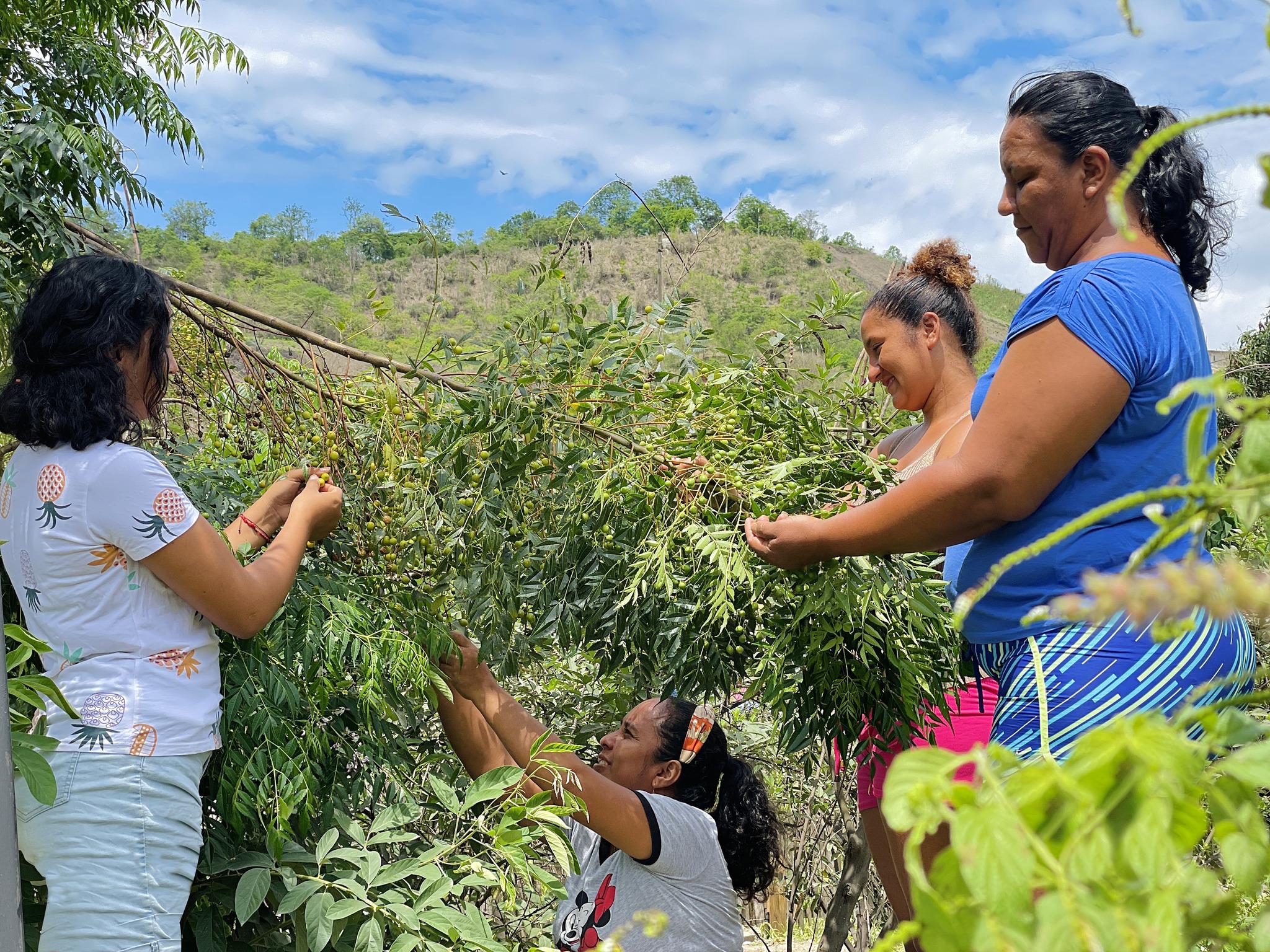 mujeres campesinas