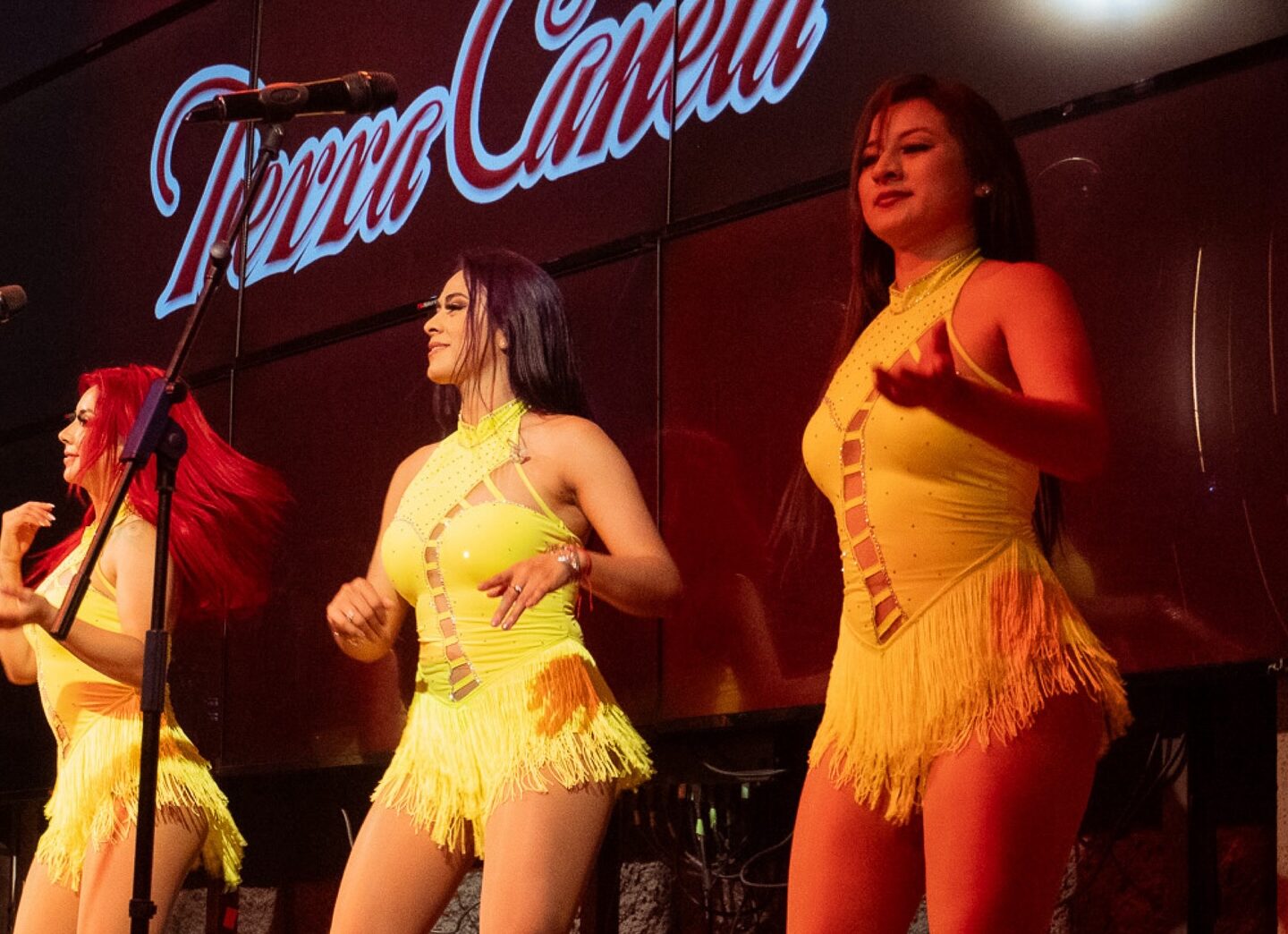 Tierra Canela es una agrupación femenina de origen ecuatoriano.