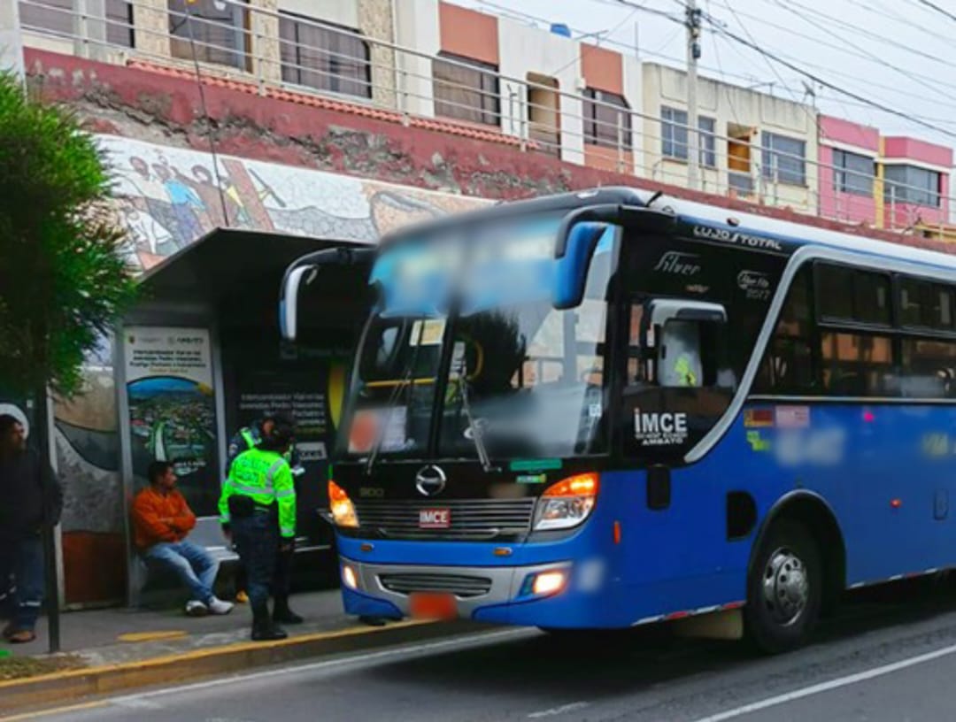 Buses, taxis y más vehículos fueron inspeccionados.