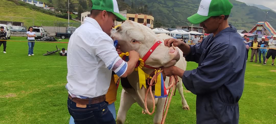 Varias actividades se llevarán a cabo en esta celebración.