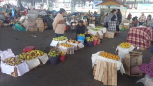 Tungurahua: agricultores disminuyen la producción de frutas de temporada