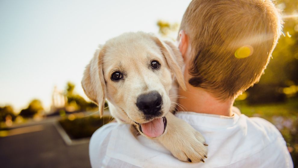 Al momento están disponibles 10 cupos para esterilizar.