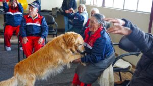 Ambato: perros contribuyen con la terapia psicológica de adultos mayores