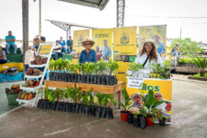 Asociaciones rurales recibieron 120 mil plantas de cacao
